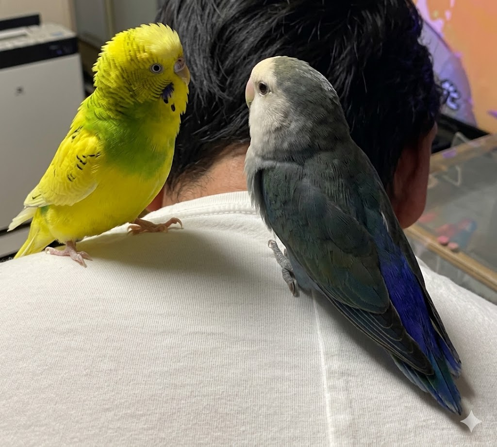 オーちゃん、クーちゃん、まるがいるにぎやかでやさしい日常風景