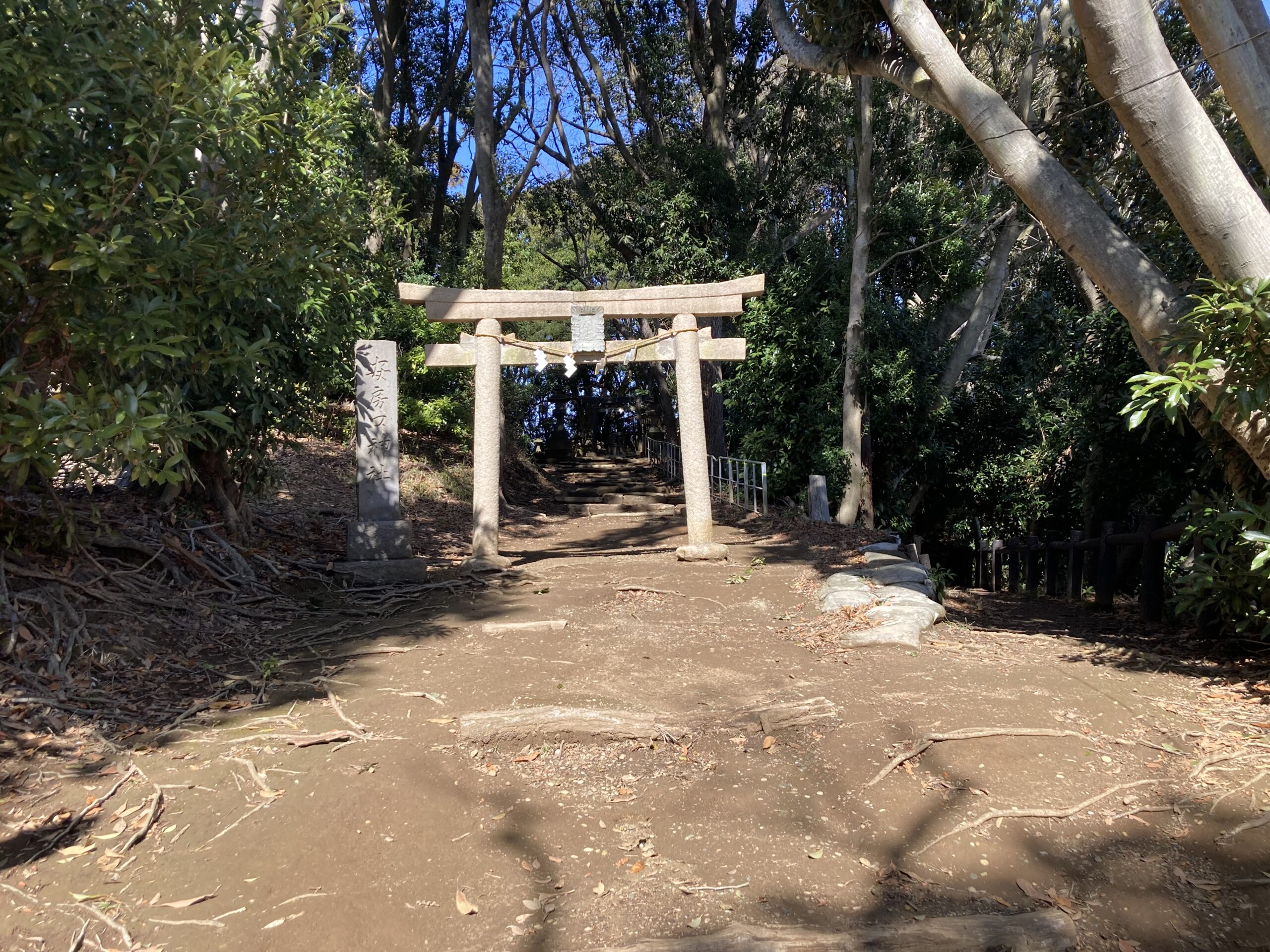 木々に囲まれた安房口神社の参道と落ち着いた境内の風景