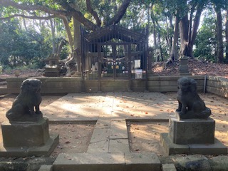 安房口神社の御神体として伝わる安房石の様子