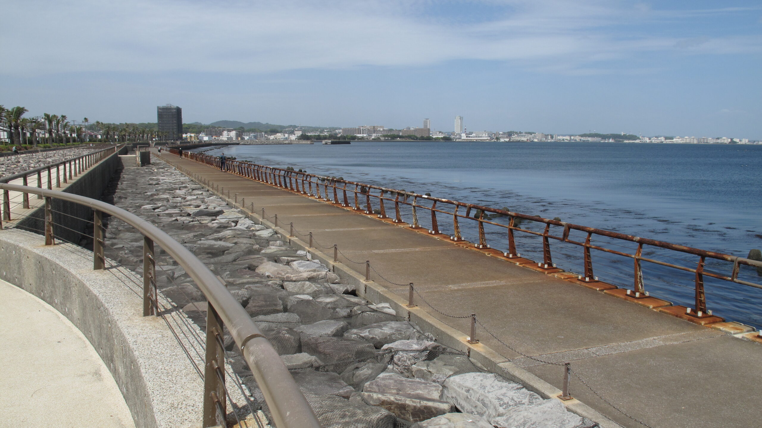 横須賀市馬堀海岸の遊歩道と海辺の広がる景色