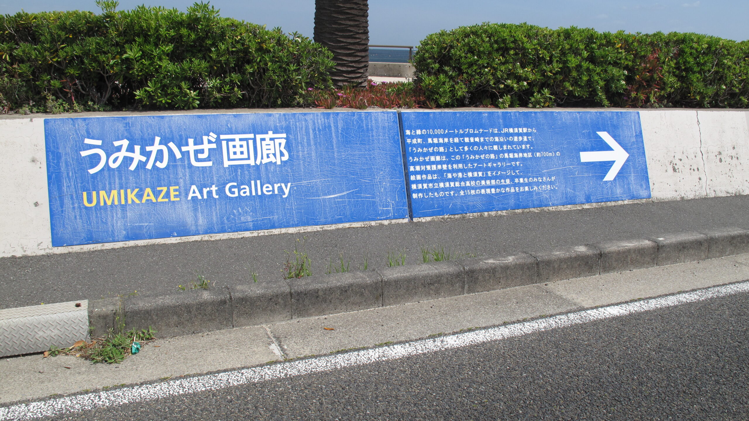 馬堀海岸の海風画廊に並ぶアート作品と護岸の風景