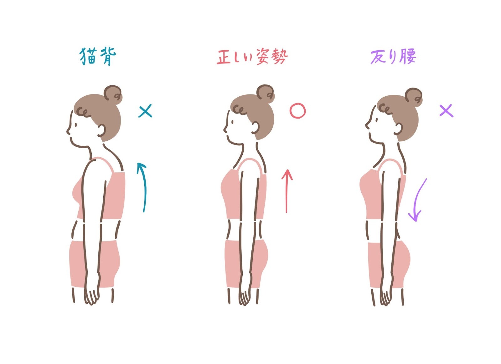 猫背・正しい姿勢・反り腰のイラスト