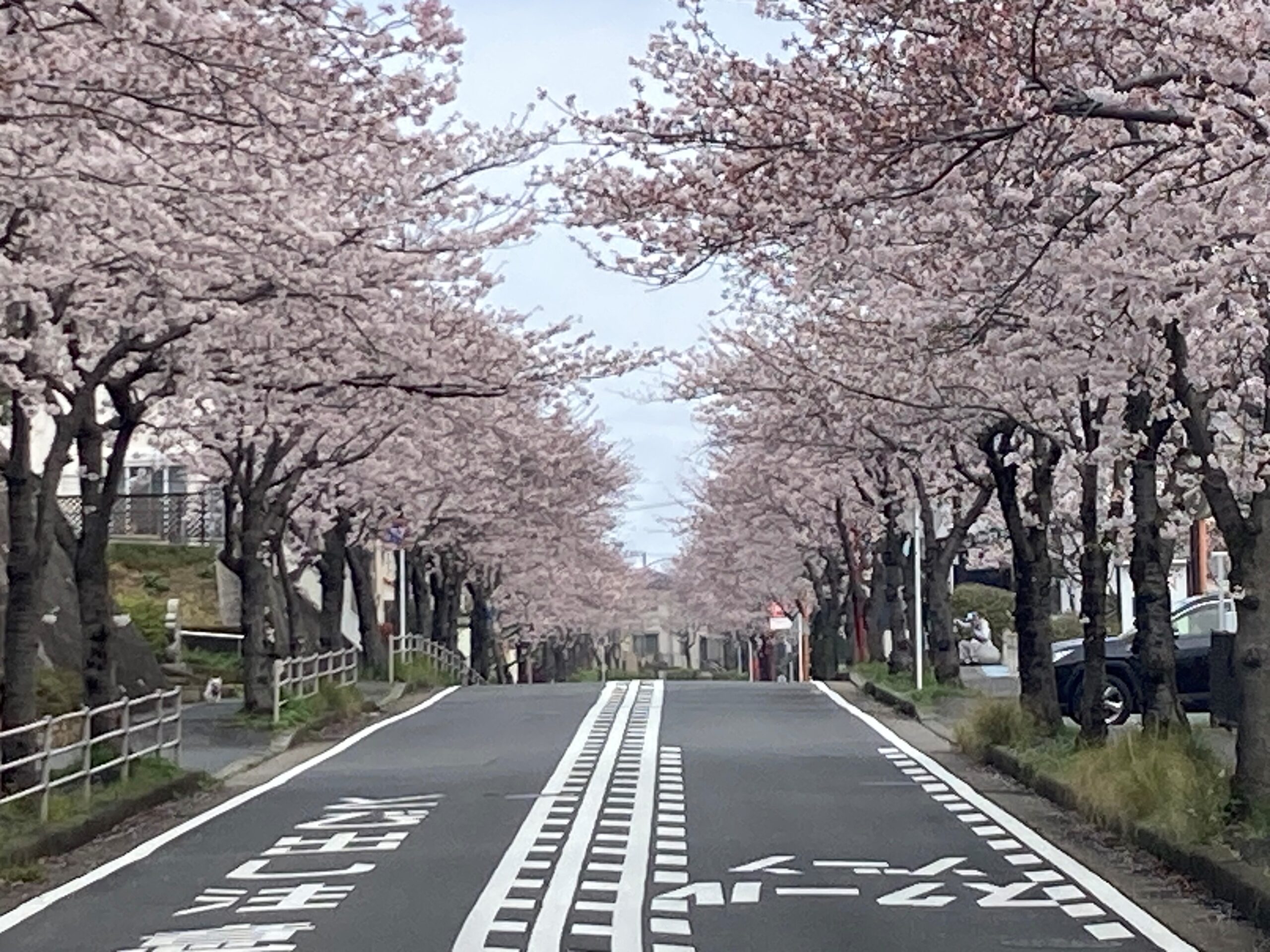 横須賀市の季節のやわらかな空気と地域の暮らしが伝わる風景イメージ