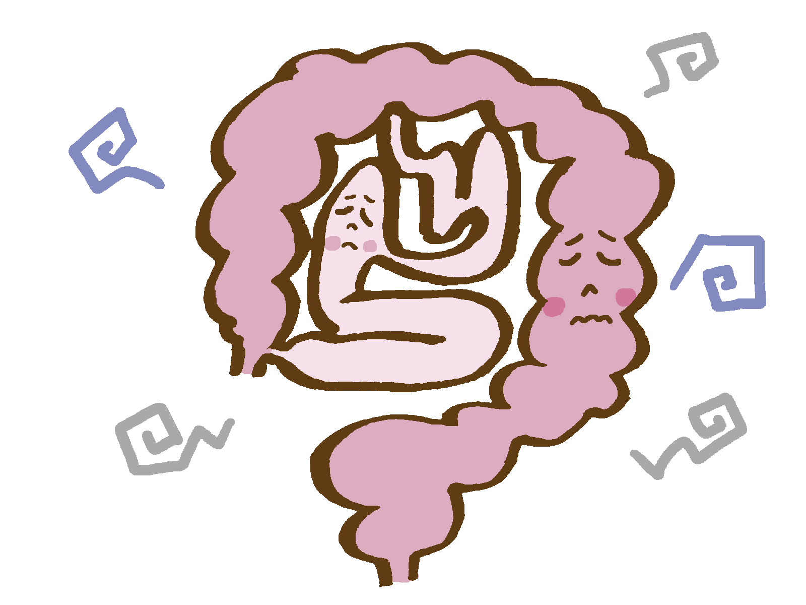 腸の働きが悪くなっているイラストです。